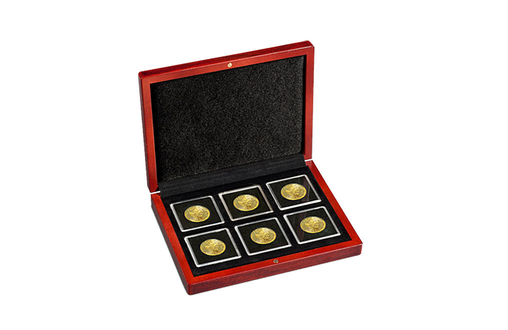6 x QUADRUM Capsule VOLTERRA Coin Box