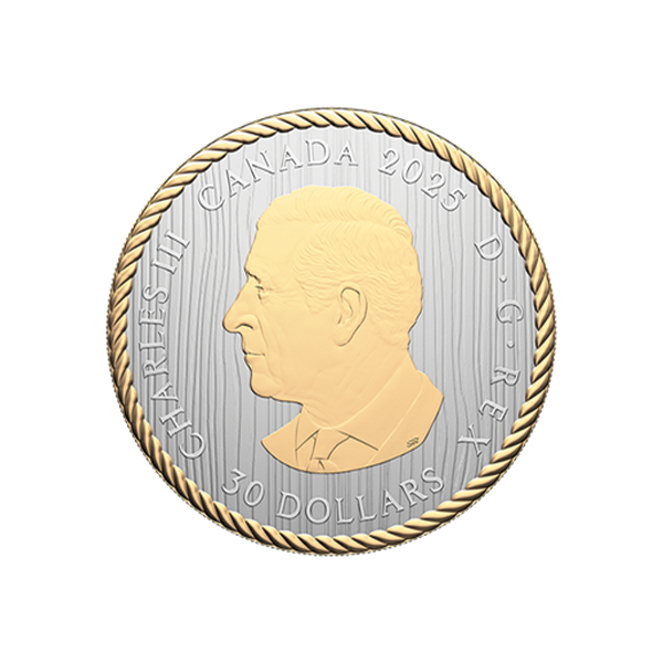 2oz Silver The Ancestor Coin