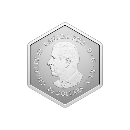 Snowflake – 1oz Fine Silver Coin (2025)