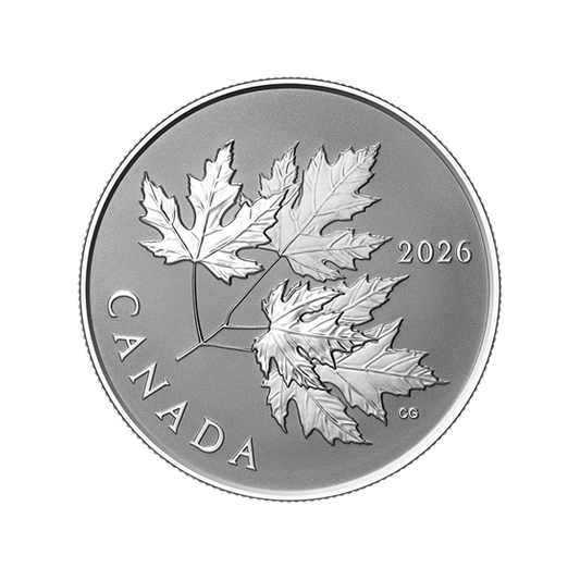 1/2oz Silver Gleaming Maple Leaves Coin