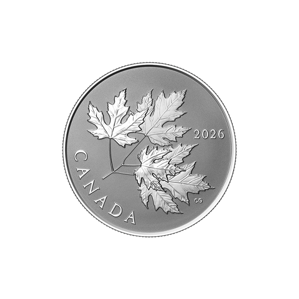 Gleaming Maple Leaves – 1/2oz Fine Silver Coin