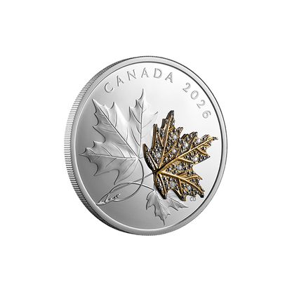 Precious Maple Leaves — Fine Silver Coin
