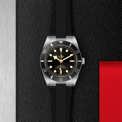 TUDOR Black Bay 54 M79000N-0002