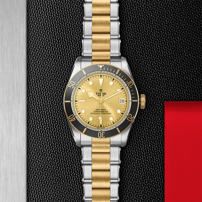 TUDOR Black Bay S&G 41mm steel and Gold M79733N-0004