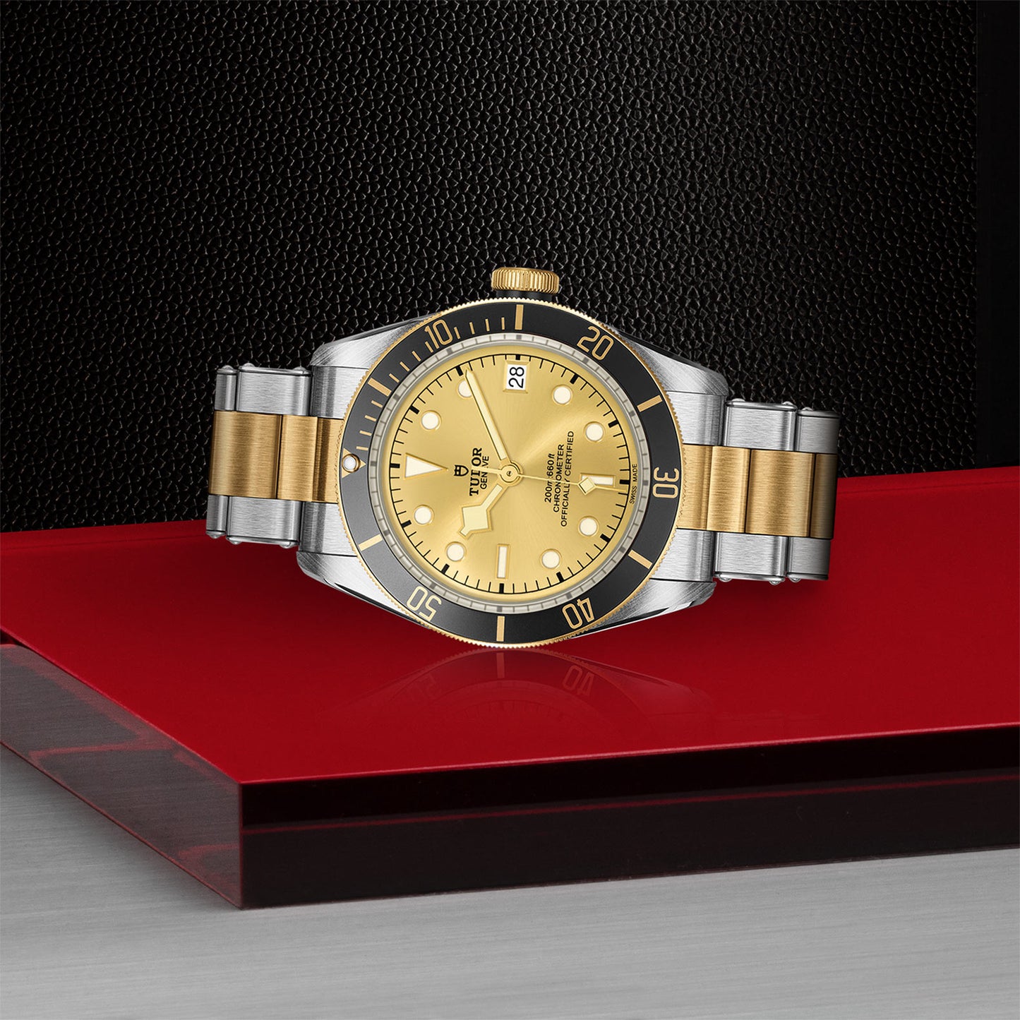 TUDOR Black Bay S&G 41mm steel and Gold M79733N-0004