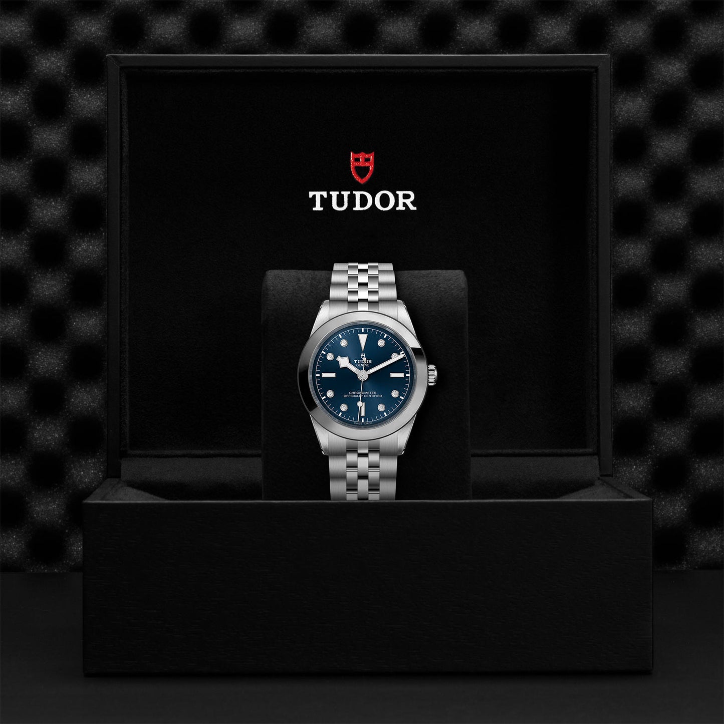 TUDOR Black Bay 39 M79660-0005