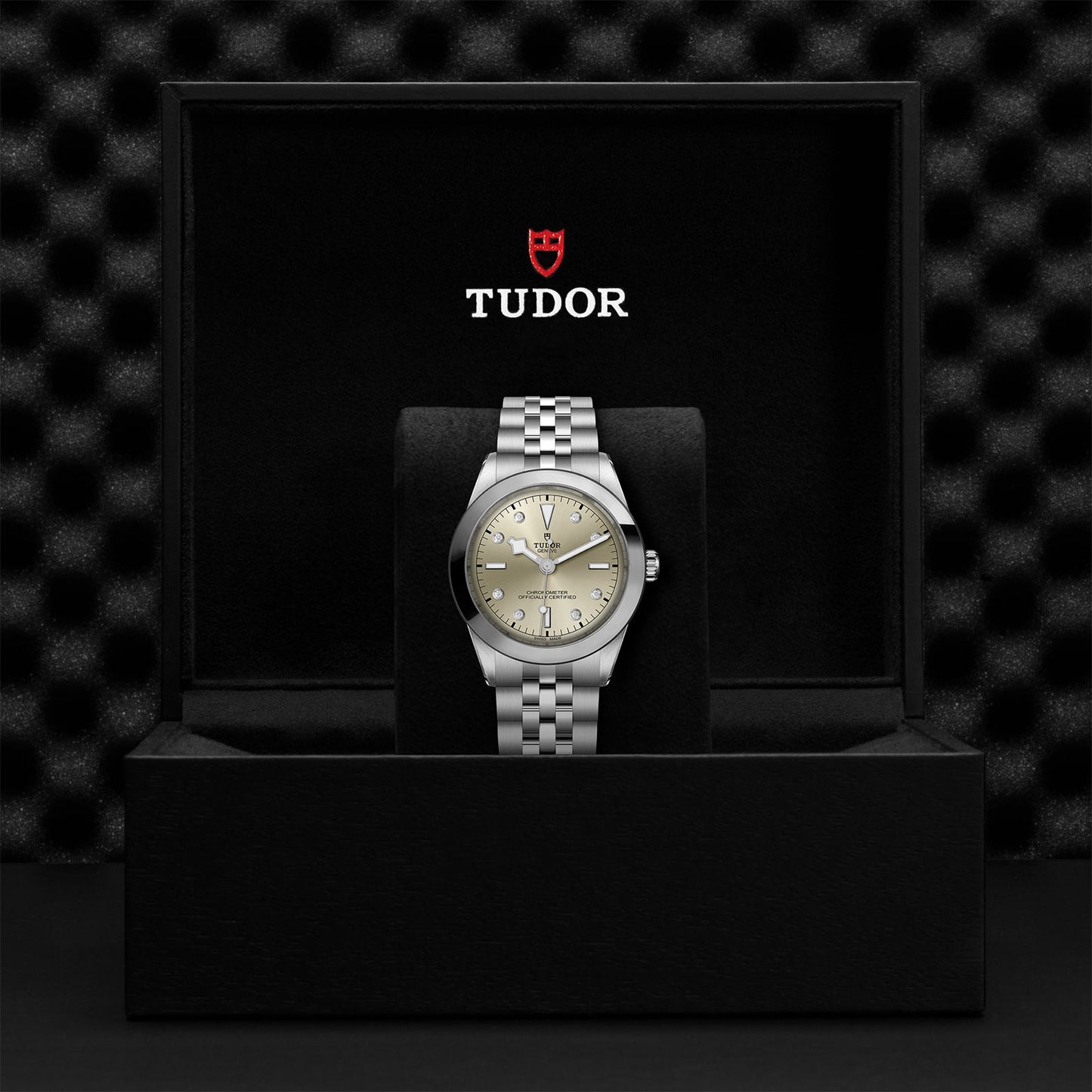 TUDOR Black Bay 39 M79660-0006