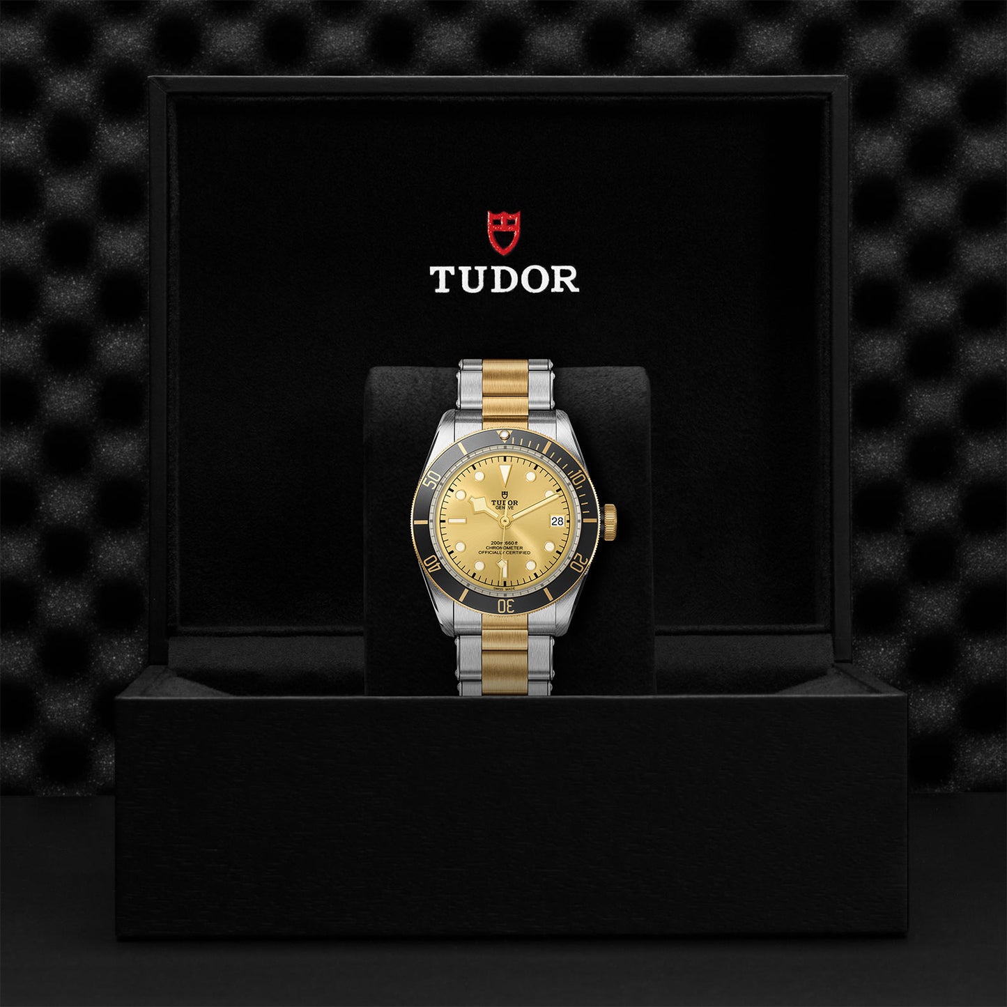 TUDOR Black Bay S&G 41mm steel and Gold M79733N-0004