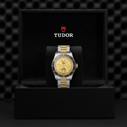 TUDOR Black Bay S&G 41mm steel and Gold M79733N-0004