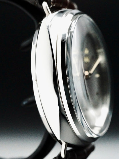 Panerai Radiomir PAM00373 Platinum Special Edition