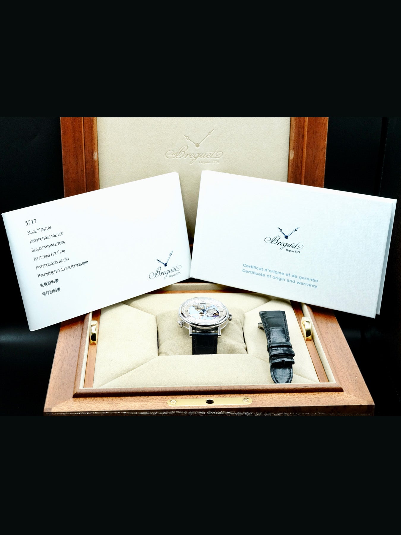 Breguet 5717PT/US/9ZU Classique Hora Mundi