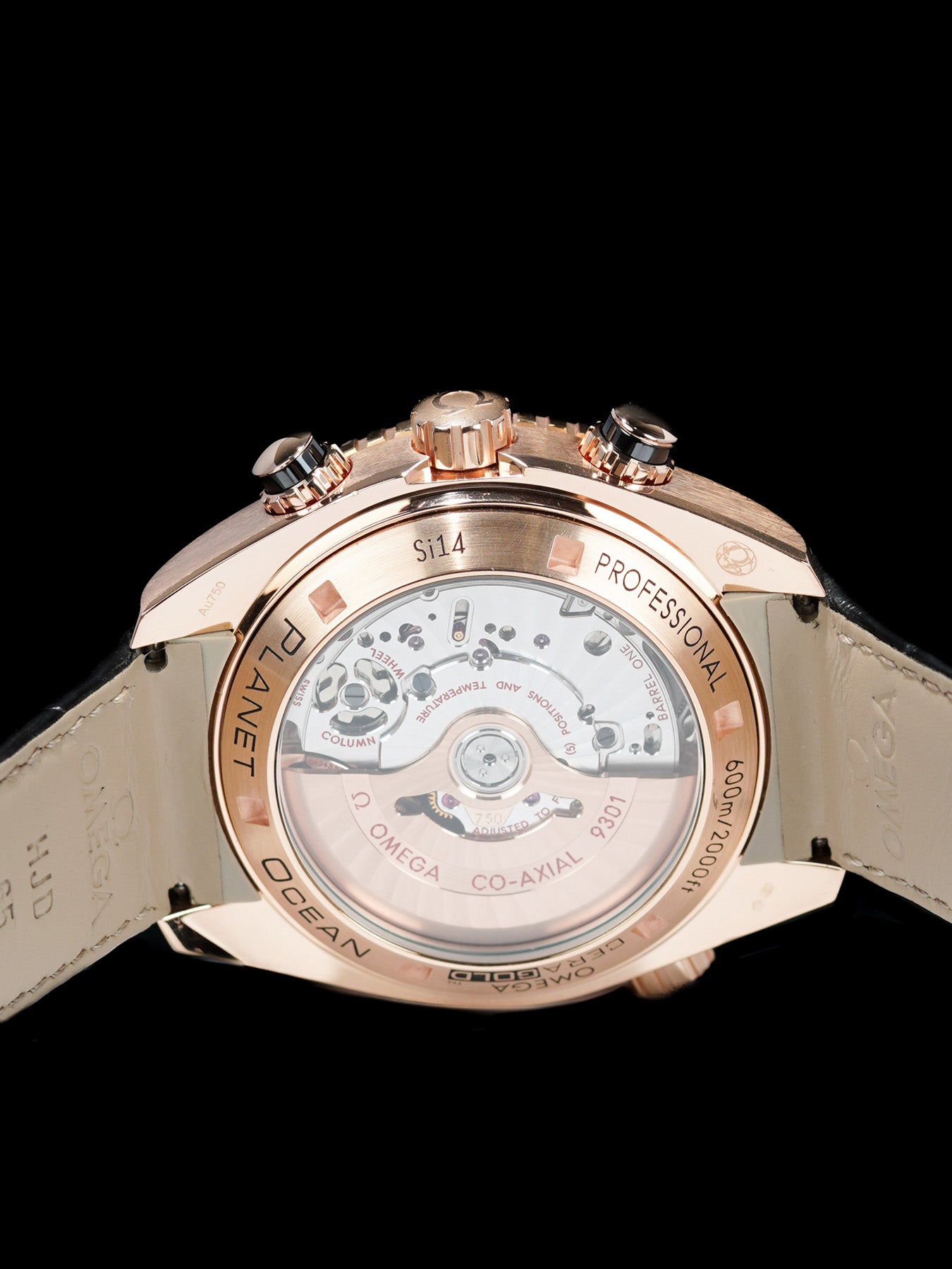 Omega 232.63.46.51.01.001 Planet Ocean 600M Co-Axial Chronograph 45.5mm