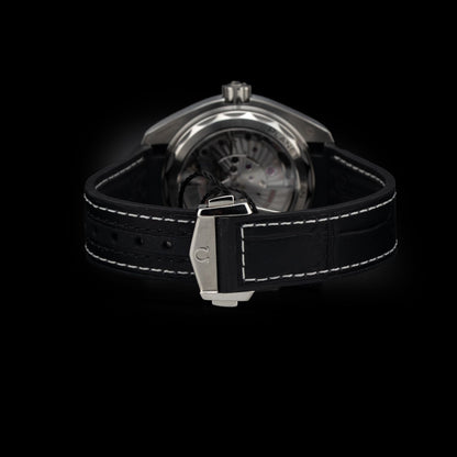 Omega Planet Ocean 600m co-axial Master Chronometer GMT 215.33.44.22.01.001