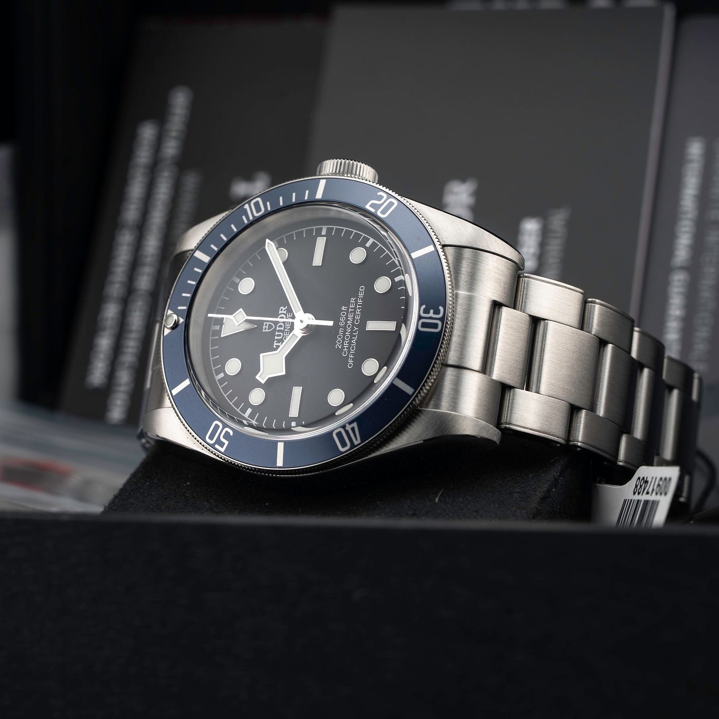 TUDOR Black Bay M79230B-0008