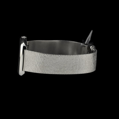 Dennison Dennsion Dual Time Capsule Collection Ll
