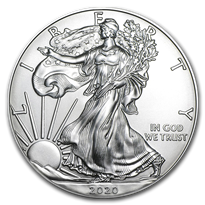 American Eagle 1 oz Silver Coins - ID 1977