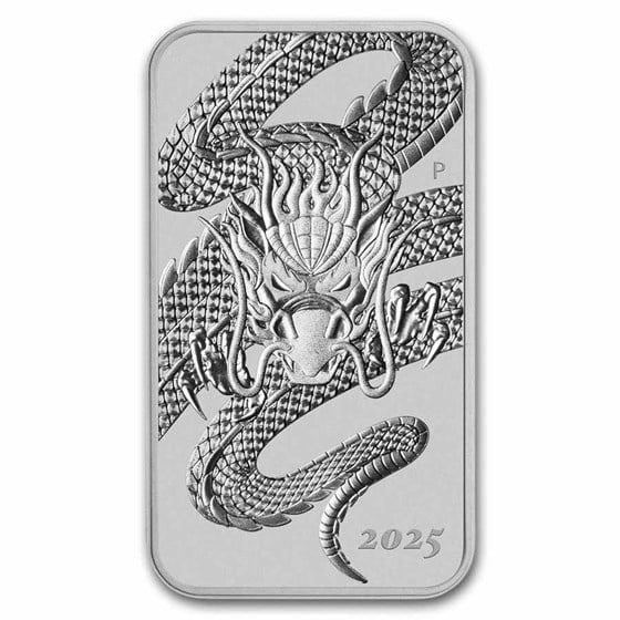Dragon Rectangular Silver Coins - ID 4621