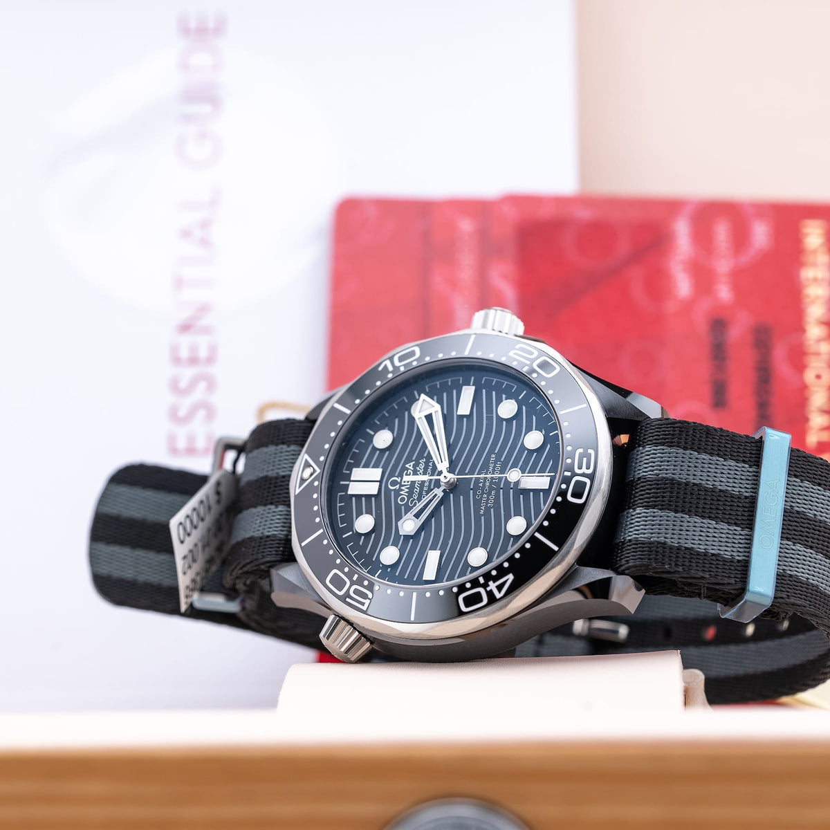 Omega Seamaster Diver 300M Black Ceramic Master Chronometer 210.92.44.20.01.002