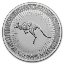 Australian Kangaroo Platinum - ID 2105