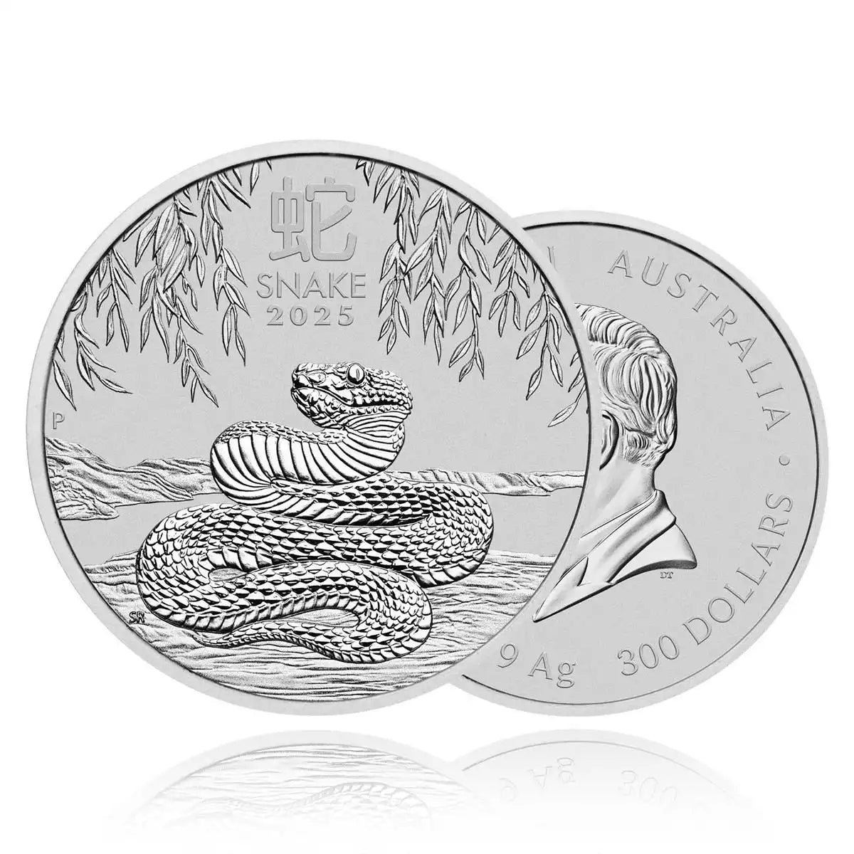 10kg Silver Coin 2025 Year of the Snake - Perth Mint