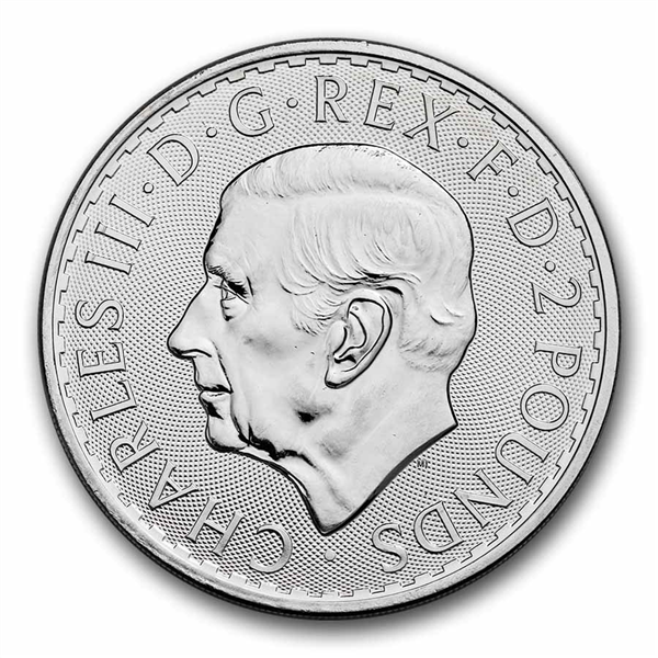 UK Britannia 1 oz Silver Coins - ID 4716
