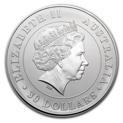 Australian Koala 1 kg Silver Coins - ID 273