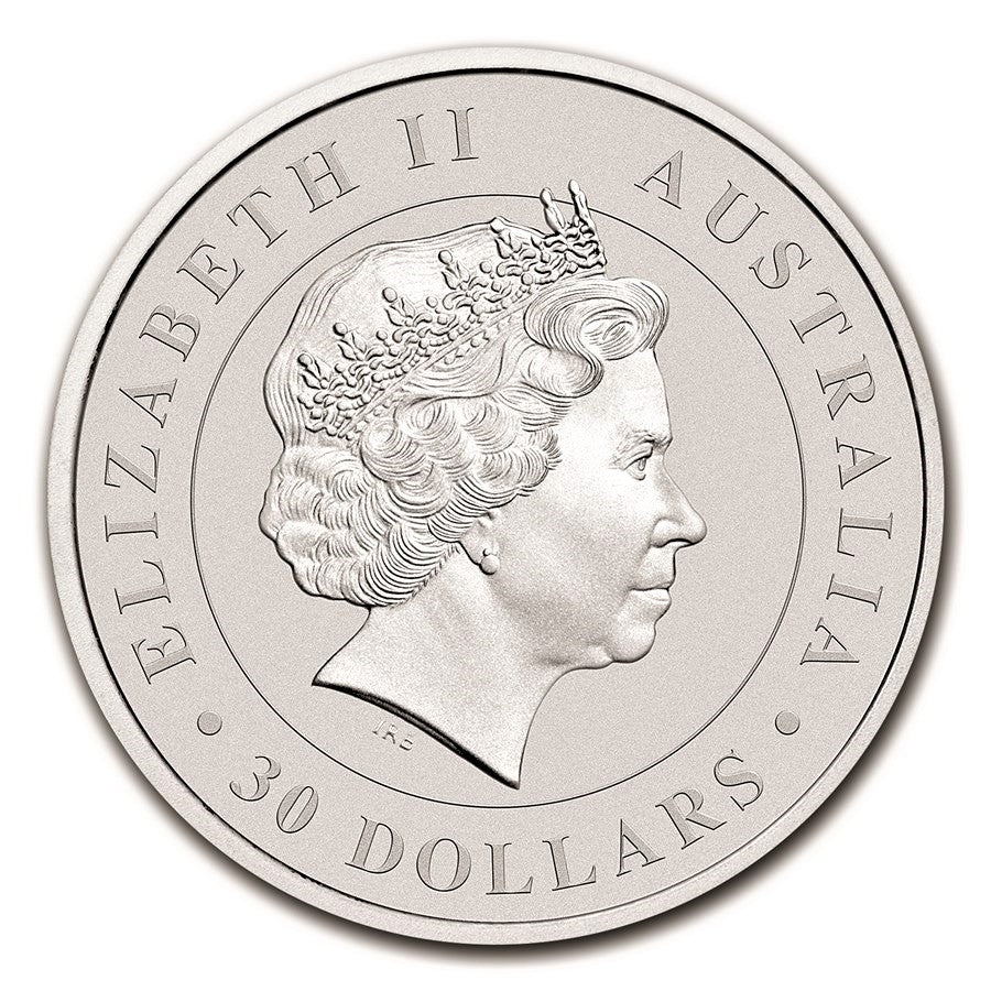 Australian Koala 1 kg Silver Coins - ID 1004