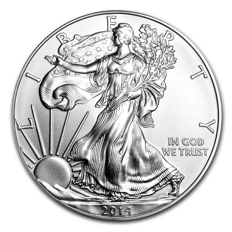 American Eagle 1 oz Silver Coins - ID 291