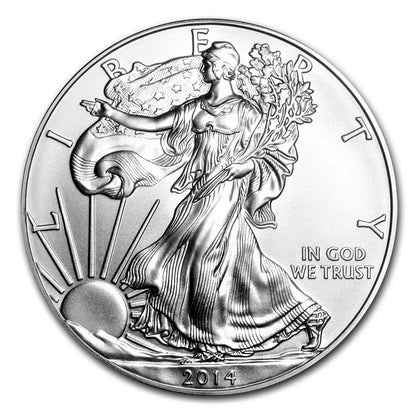 American Eagle 1 oz Silver Coins - ID 291
