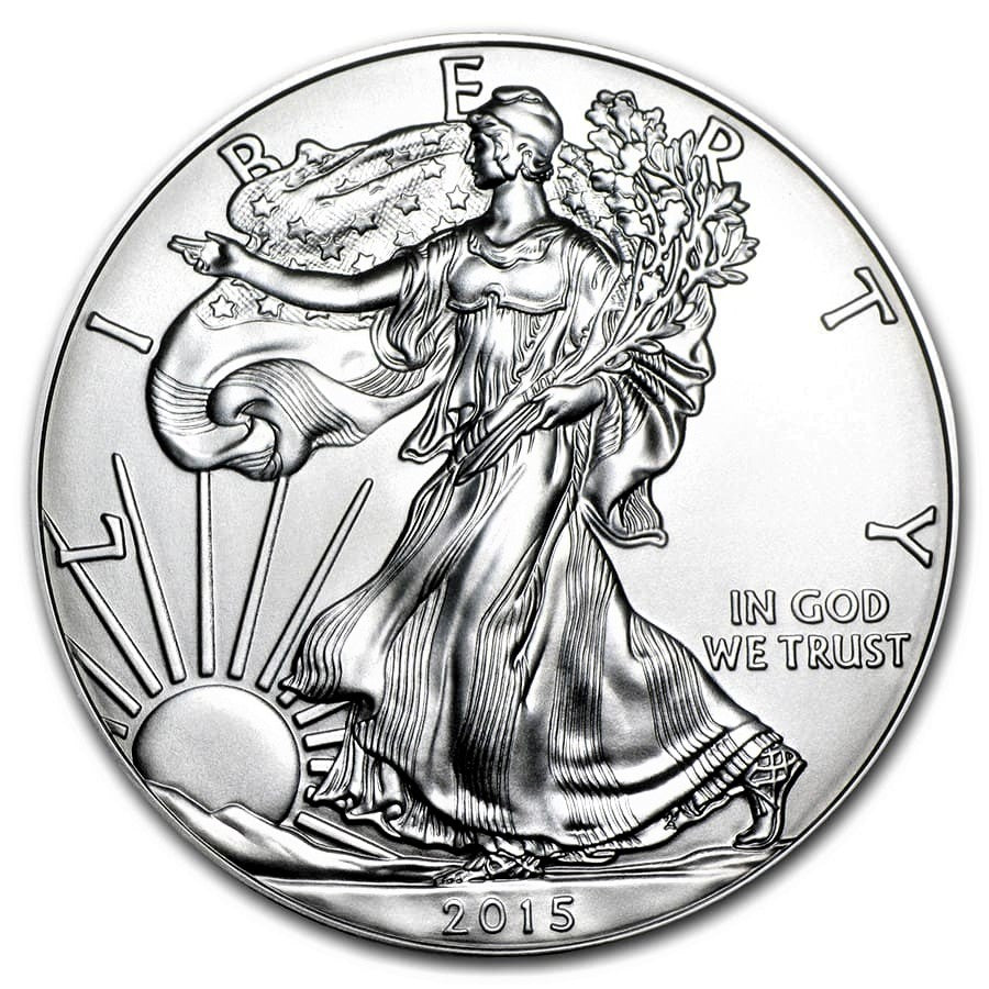 American Eagle 1 oz Silver Coins - ID 371