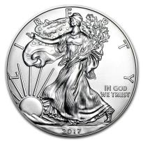American Eagle 1 oz Silver Coins - ID 577