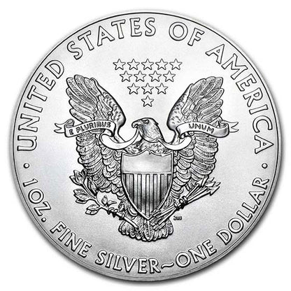 American Eagle 1 oz Silver Coins - ID 2396