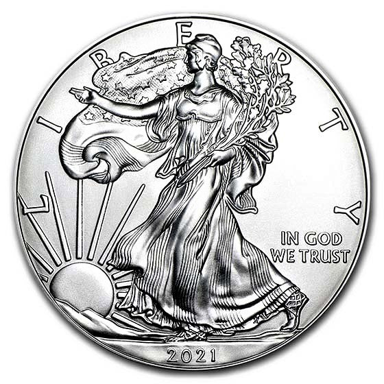 American Eagle 1 oz Silver Coins - ID 2396