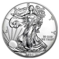 American Eagle 1 oz Silver Coins - ID 2396