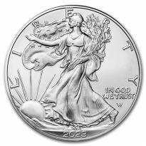 American Eagle Silver Coins - ID 2953