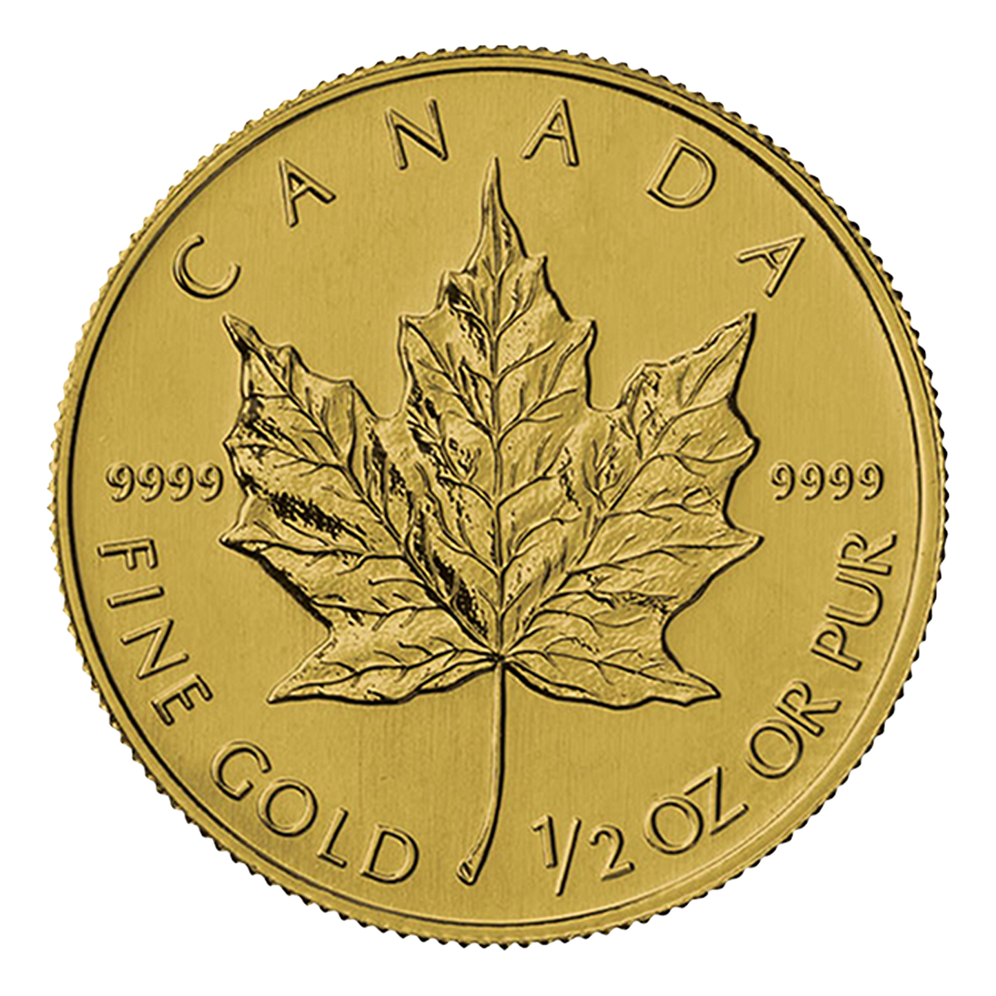 1/2 oz Gold Canadian Maple Leaf Coin