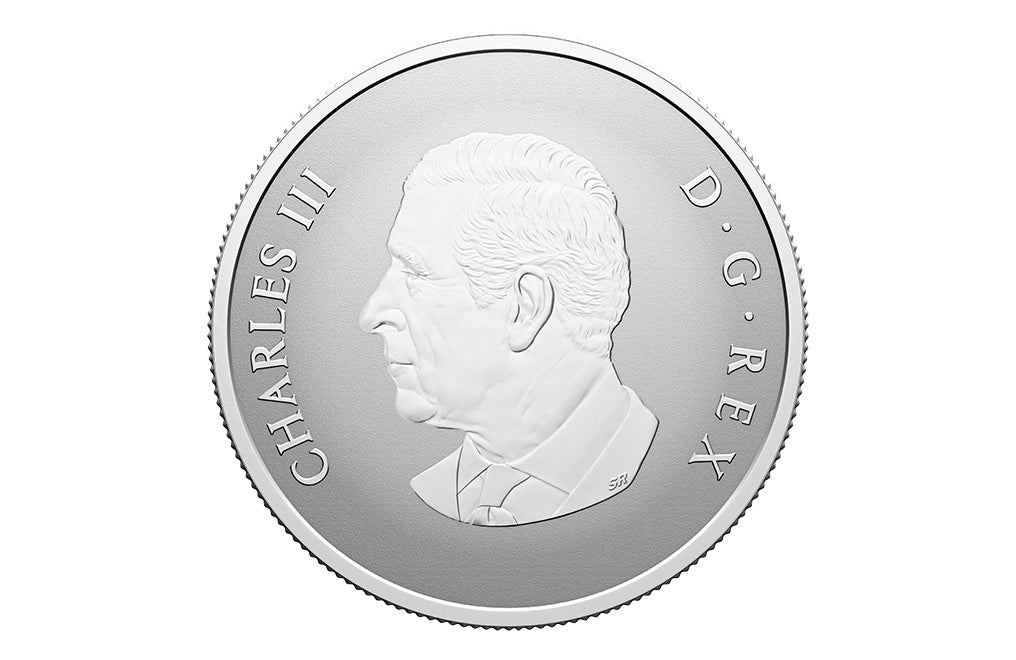 Buy 1/2 oz Silver Welcome to the World Coin (2026)