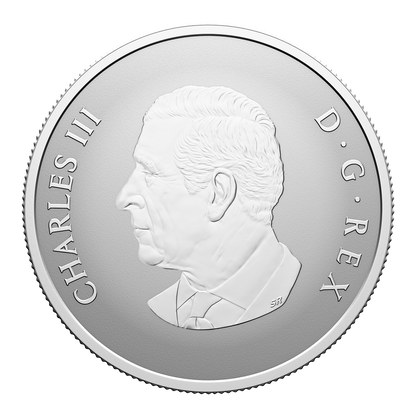 Buy 1/2 oz Silver Welcome to the World Coin (2026)