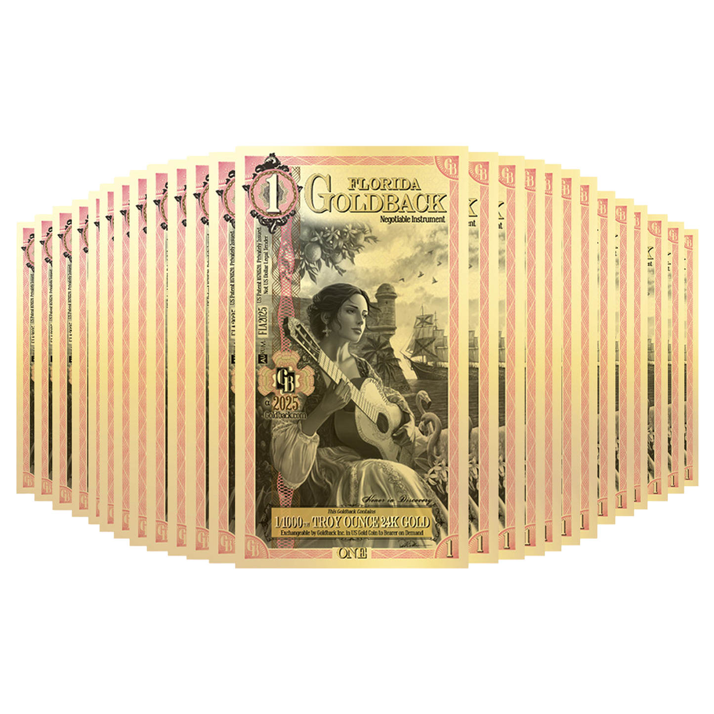 Buy1 Florida Goldback Gold Notes Pack (50 pc) 24K
