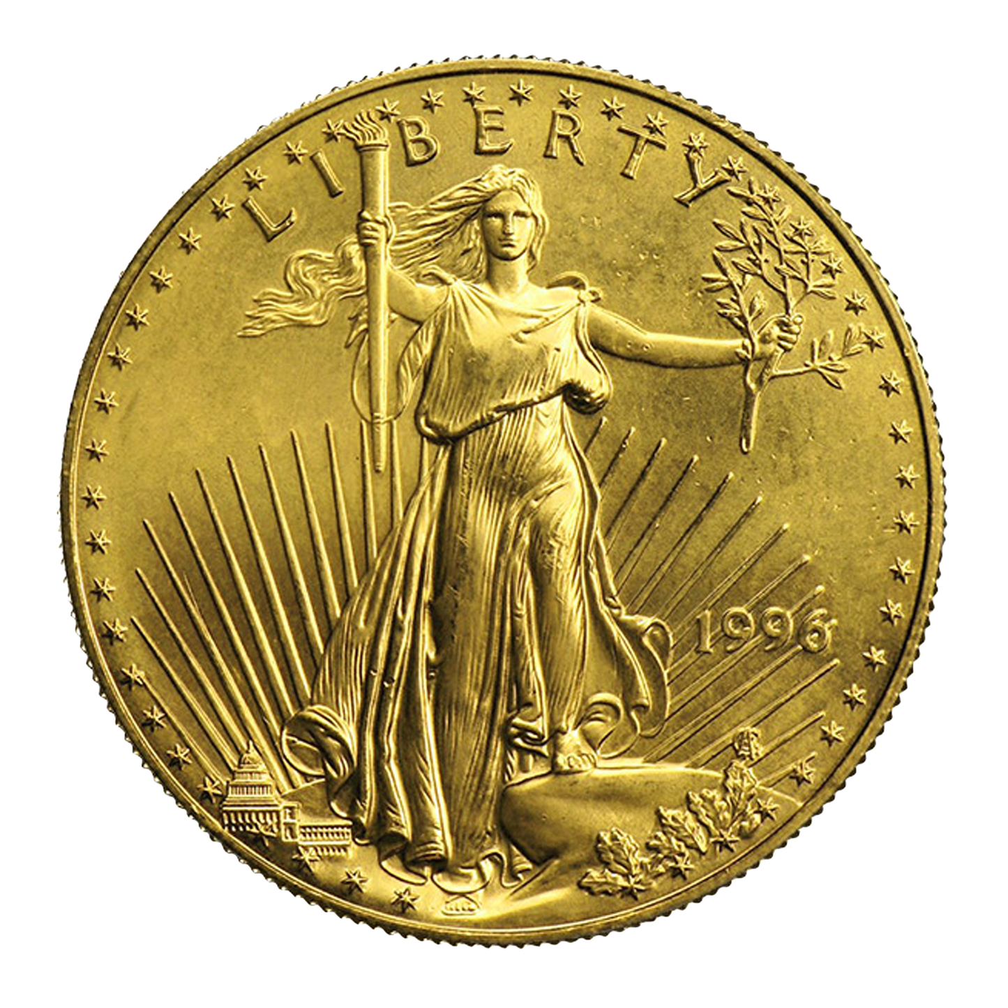 1 oz Gold Eagle Coins