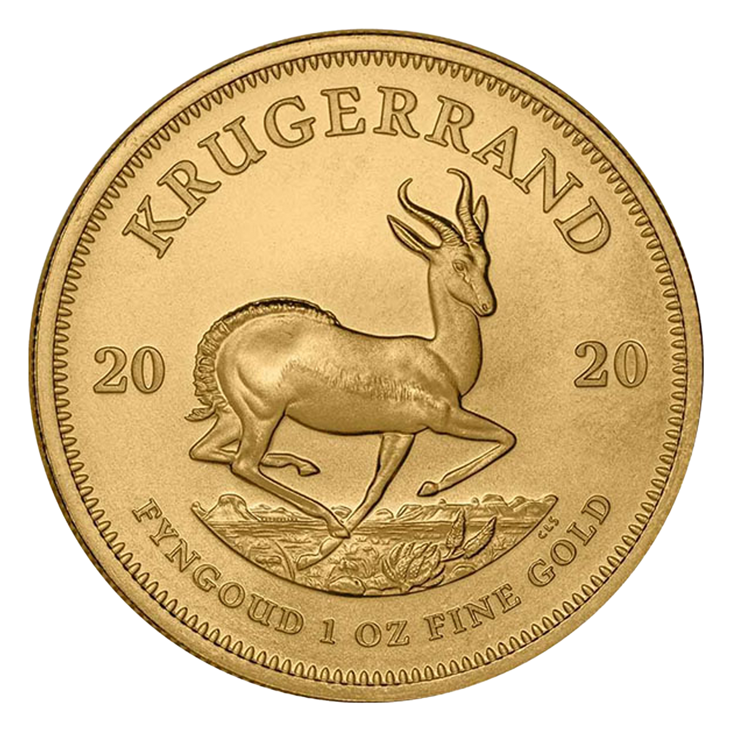 1 oz South African Gold Krugerrand Coins