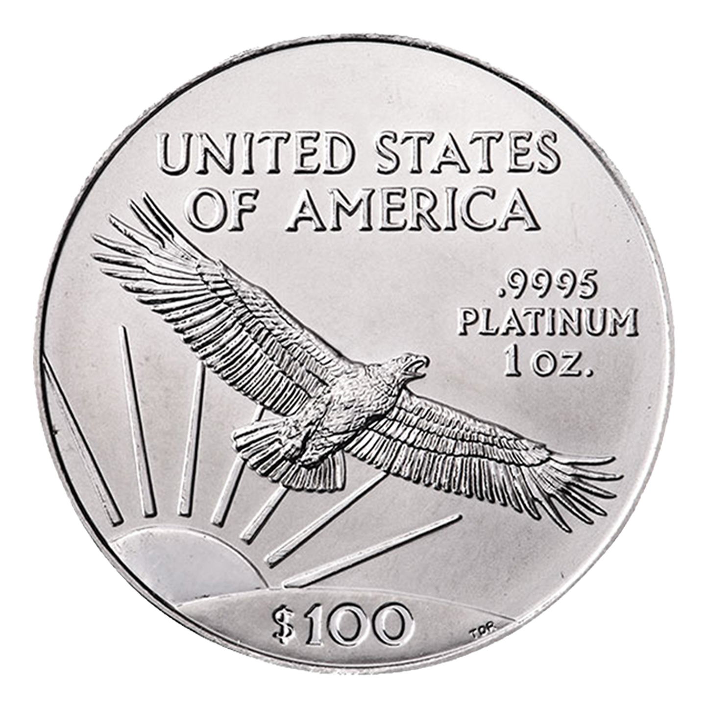 1 oz Platinum American Eagle Coin