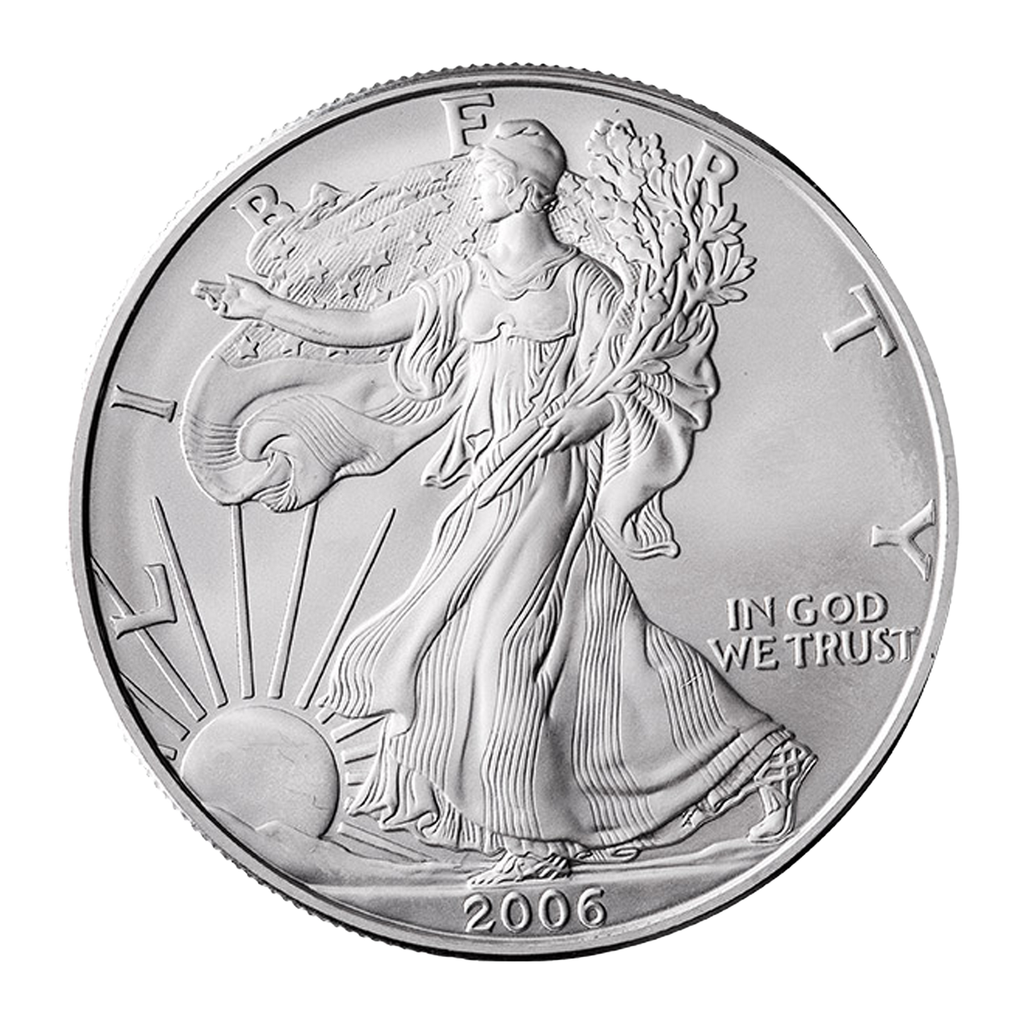 1 oz Silver American Eagle Coins