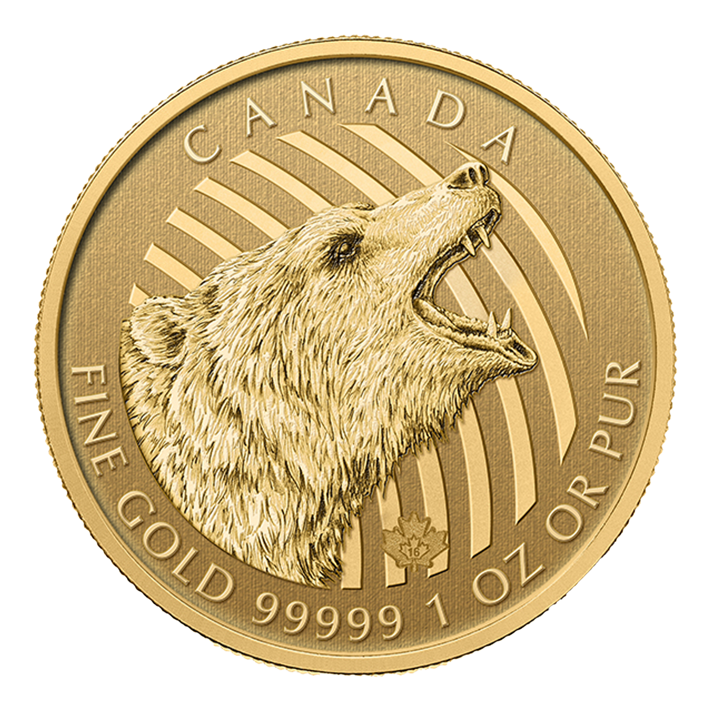 2016 1 oz Gold Roaring Grizzly Coins - Royal Canadian Mint