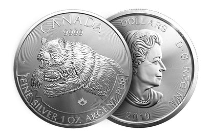 2019 1 oz Silver Grizzly - RCM Predator Series Coin