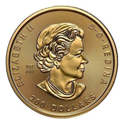 2023 1 oz Gold Klondike Gold Rush: Prospecting for Gold Coin .99999 - Royal Canadian Mint