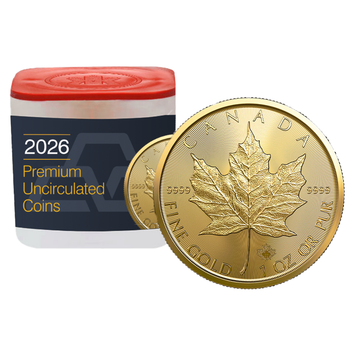 2026 MintFirst™ 1 oz Gold Maple Leaf Coins (tube of 10)