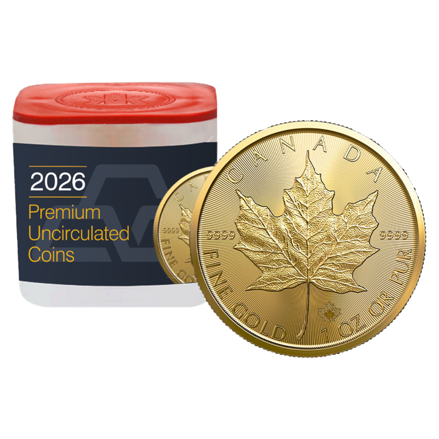 2026 MintFirst™ 1 oz Gold Maple Leaf Coins (tube of 10) - [US: Shipping week of Aug 17th]