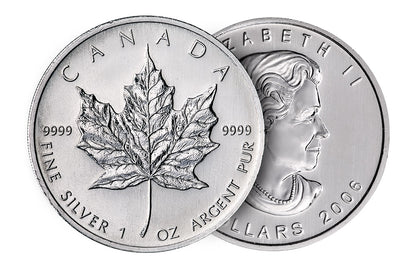 Silver Maple Leaf Coin Case (500 coins) - Random Year