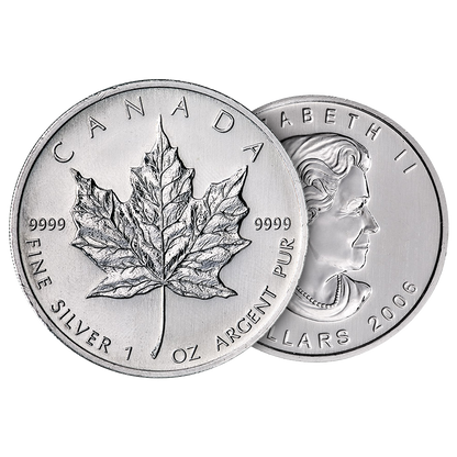 Silver Maple Leaf Coin Case (500 coins) - Random Year
